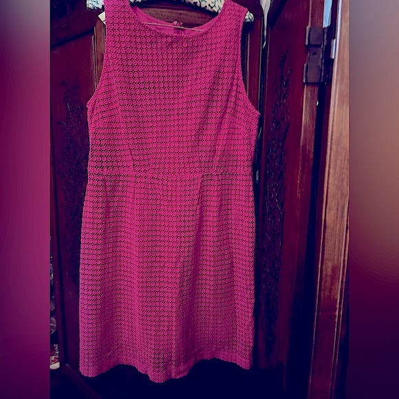 Garnet Hill NWOT Dress Pink Eyelet 100% cotton Sheath, cotton-lined, sleeveless - Picture 1 of 9